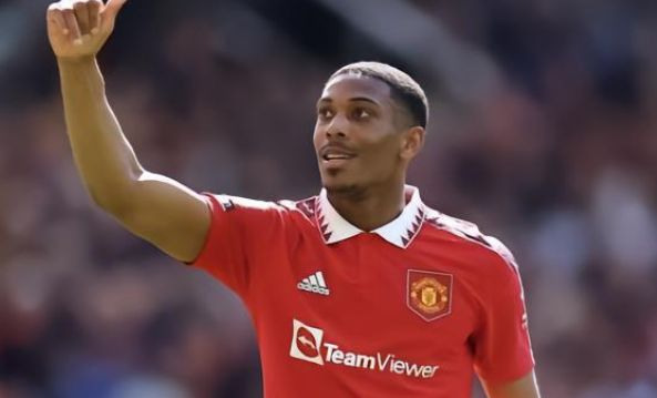 绝佳的进球 绝佳的进球